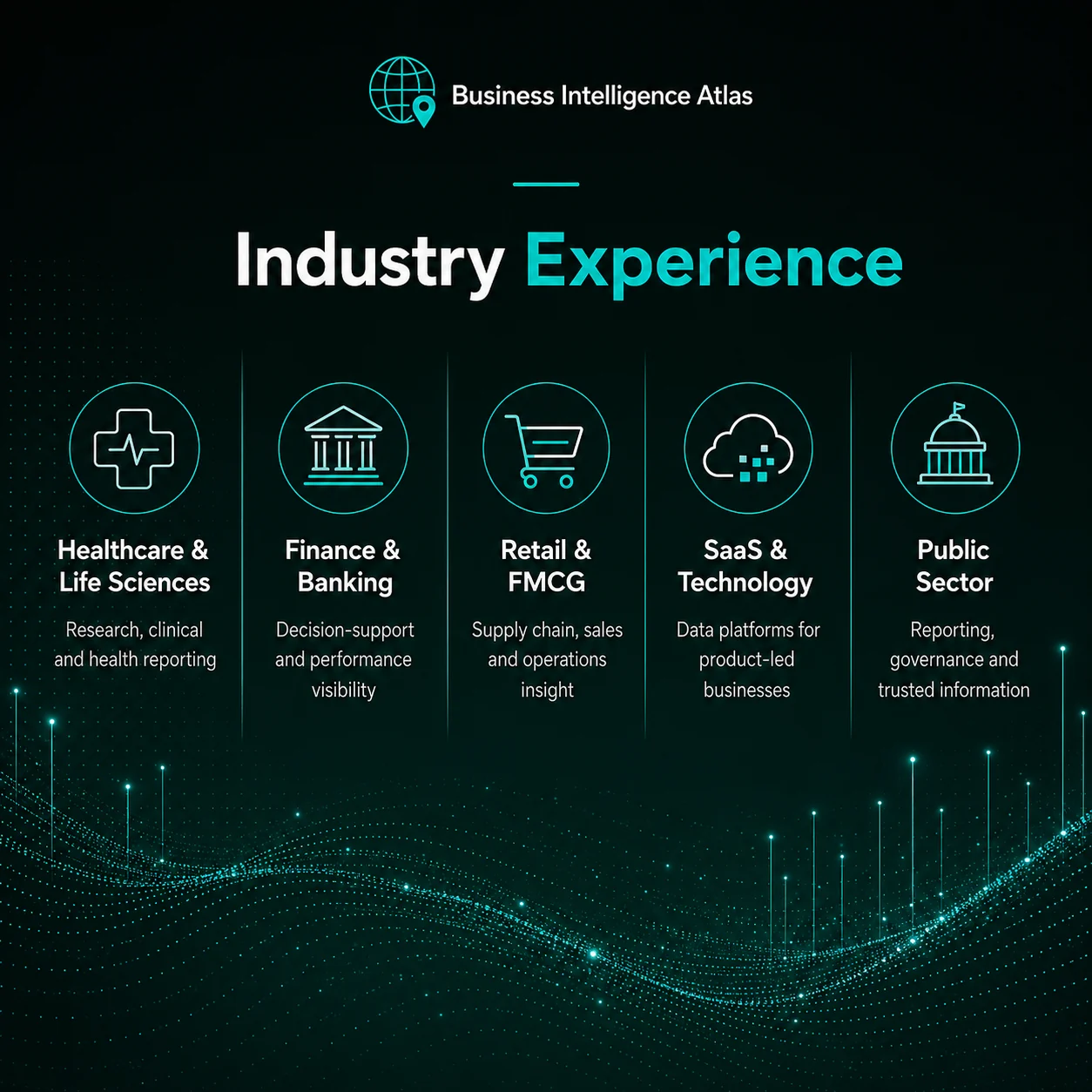 Industry experience across healthcare, finance, retail, SaaS, and public sector